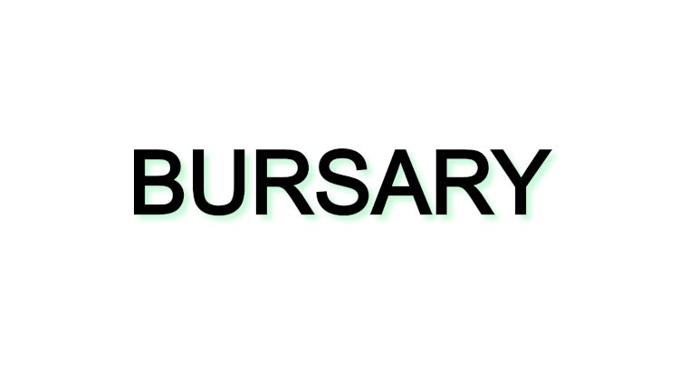 Which companies offer bursaries in south Africa?